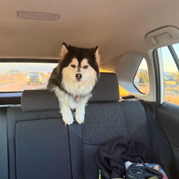 Meet your Posher, Brian - Picture 1 of 1